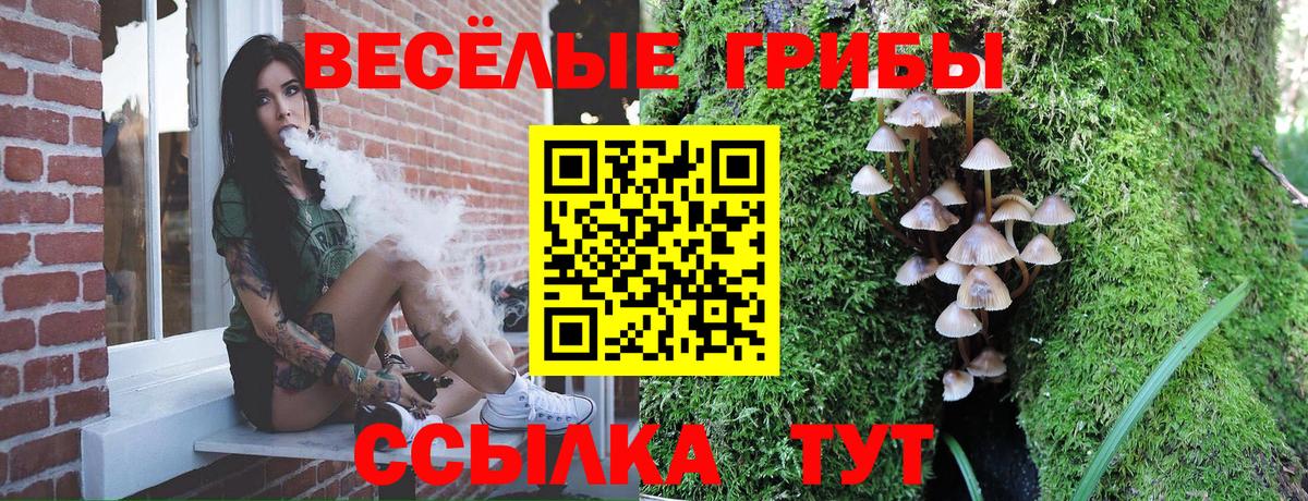 Алушта  Галлюциногенные грибы ЛСД  Вход с VPN 